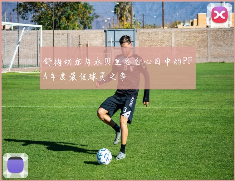 舒梅切尔与永贝里各自心目中的PFA年度最佳球员之争