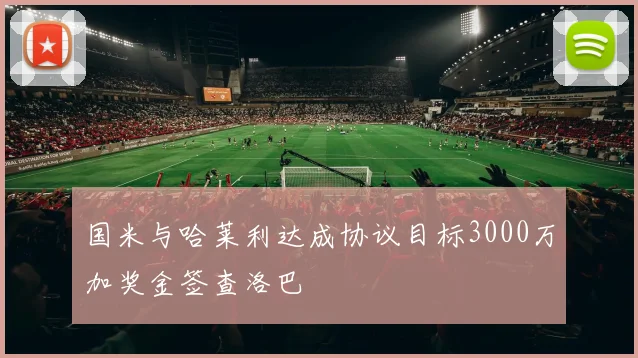 国米与哈莱利达成协议目标3000万加奖金签查洛巴
